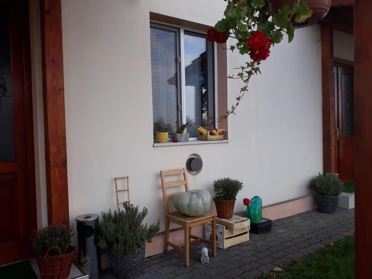 Vila Zoppas Inn Sinnicolau Mare Exterior photo